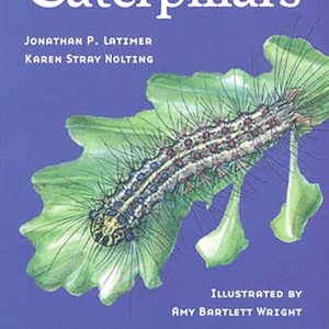 Caterpillars