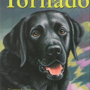 Tornado