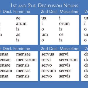 Latina Christiana Grammar Charts