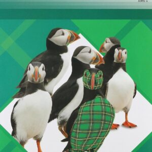 Phonics C Plaid