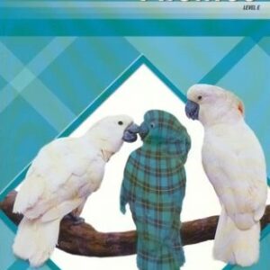Phonics E Plaid