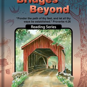 Gr. 4 - Bridges Beyond