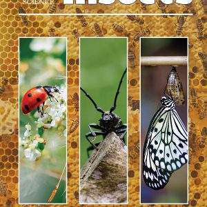 Common Sense Science Insects