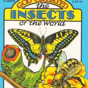 God Created the Insects of the World (Sticker and Colouring Book)
