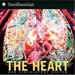 The Heart: Our Circulatory System