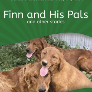 Finn and His Pals - Homestead Readers Level 3